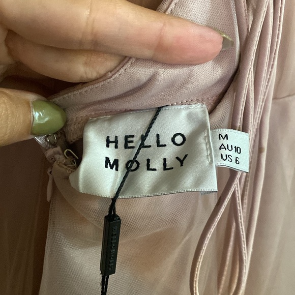 Hello Molly Blush Pink Midi Dress - Picture 12 of 13